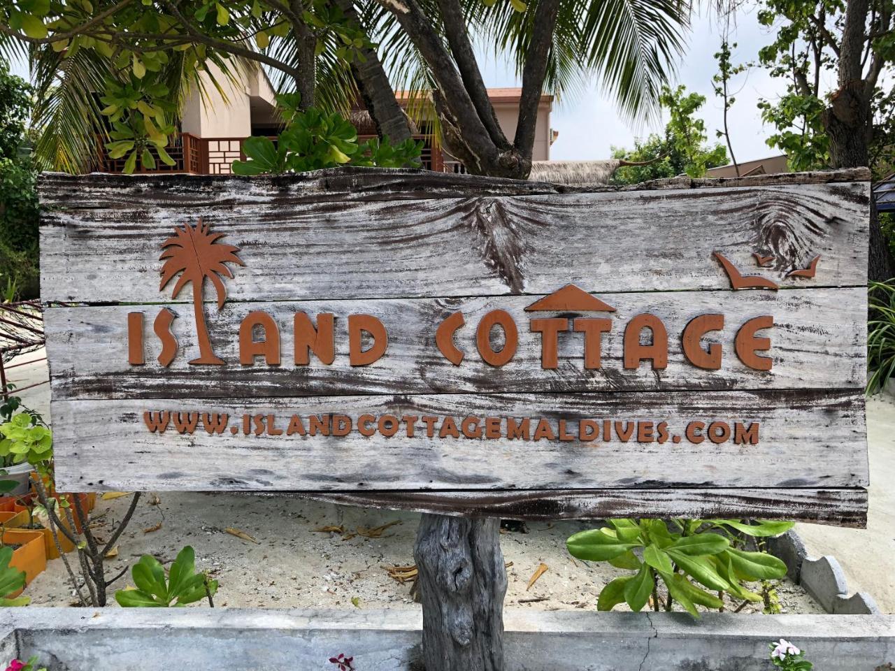 Island Cottage Maafushi Exteriör bild
